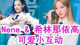 糟了,网红基金也“套”住了